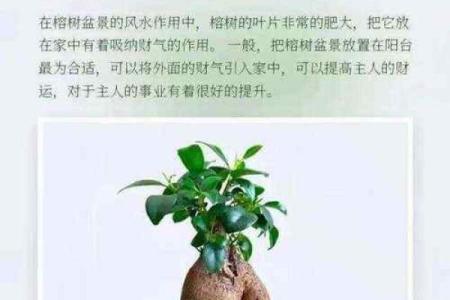 风水学中财位的秘密，助你财源滚滚来