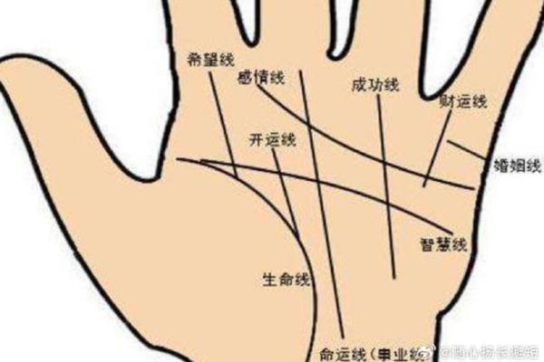 如何通过手相判断你的房地产运气
