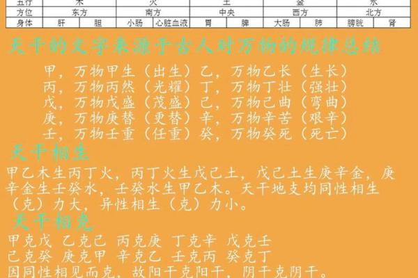 天干乙戊癸的五行关系与命理分析