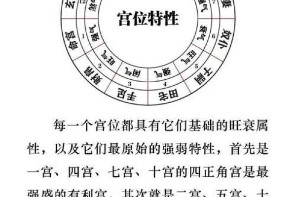 星五行与个人命运：命理学中的五行分析
