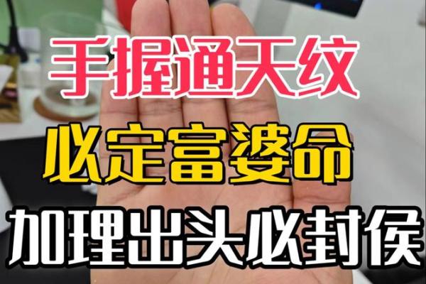 富贵命的关键特征有哪些
