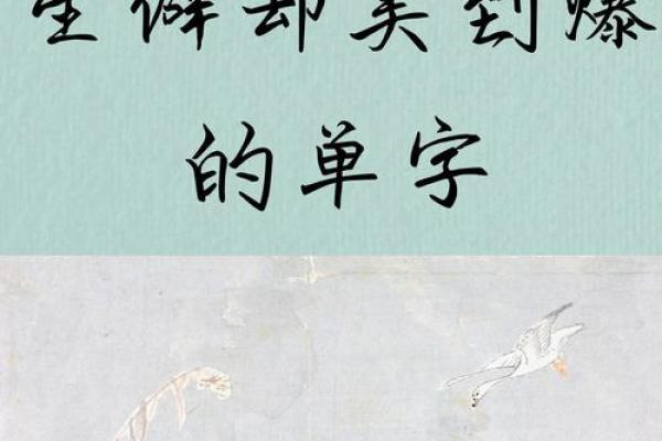 公司起名时生僻字的运用与挑选技巧