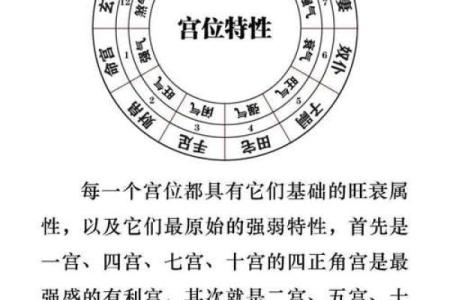 星五行与个人命运：命理学中的五行分析