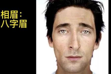 男人八字眉的魅力与性格解读