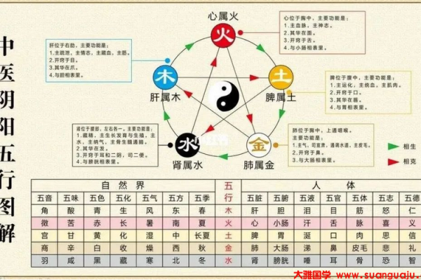 生辰五行与命理：如何从出生时间洞察人生运势