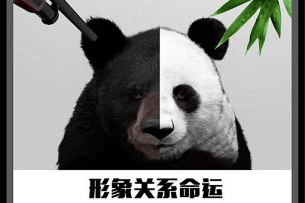 提升品牌形象，从三藏公司起名网开始