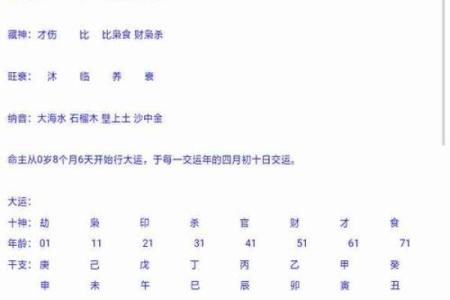 如何通过八字排盘了解你的命运轨迹