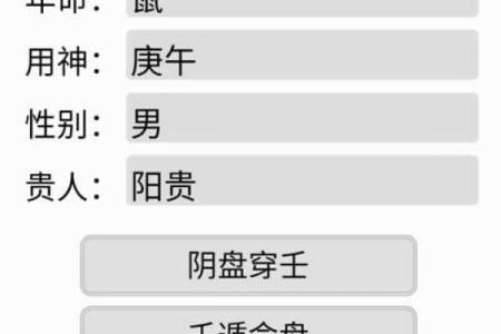 大六壬排盘软件手机版功能解析与使用技巧