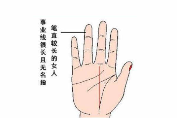 三纹豹手相与人生轨迹：掌中透露的独特信息