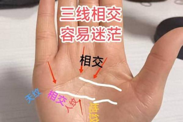 三纹豹手相与人生轨迹：掌中透露的独特信息