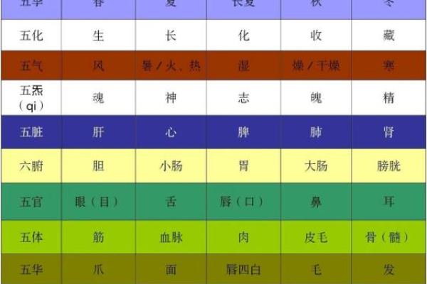晚五行属于什么及其相关解析