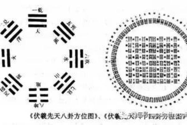 梅花排盘系统的起源与实际操作技巧