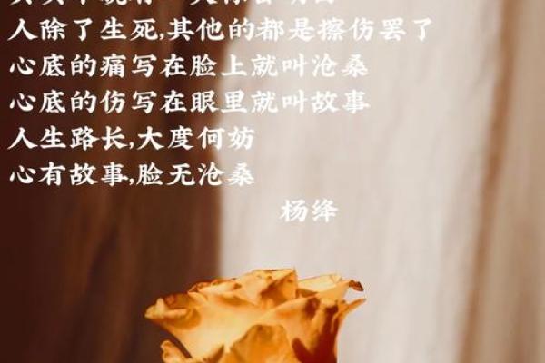 本兮八字解析：揭示命运轨迹与人生转折点