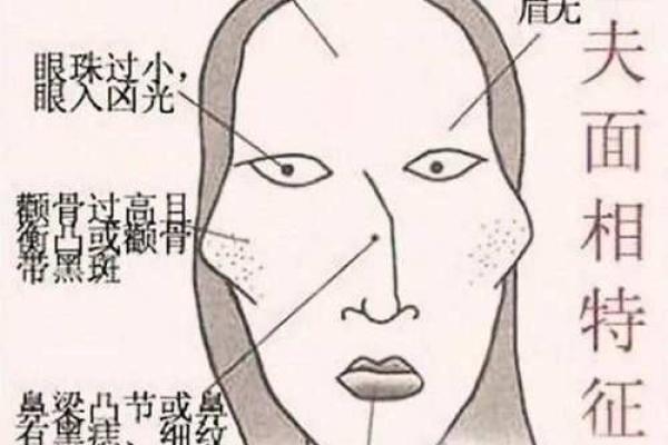 尖耳朵面相解析：揭示性格与命运的深层联系