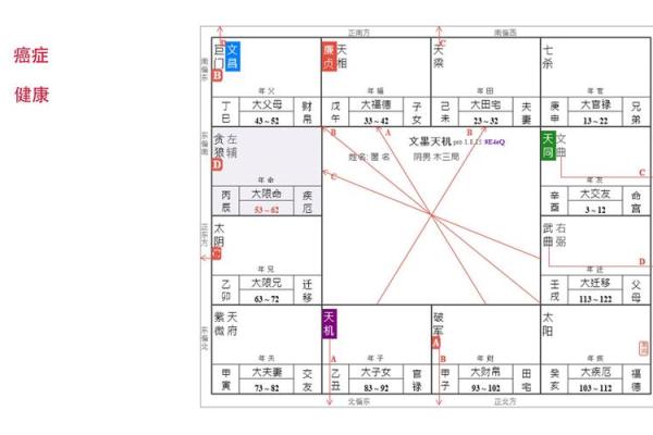 紫薇大运排盘解析：如何根据大运流年预测人生走向