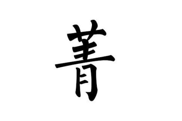 菁字五行属什么及其相关解析