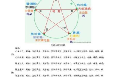 成五行属于什么分类与解析