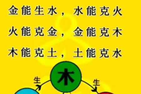 都字五行属性解析及其与命理的关系