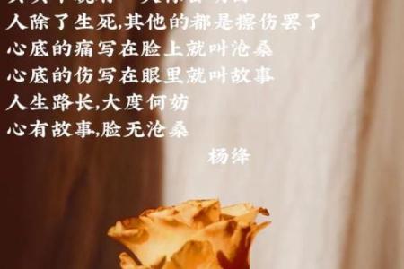 本兮八字解析：揭示命运轨迹与人生转折点
