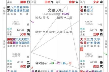 八字紫薇排盘解析：如何准确解读命运走势