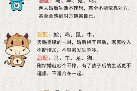 命理学中丙丁同现的象征与运势变化
