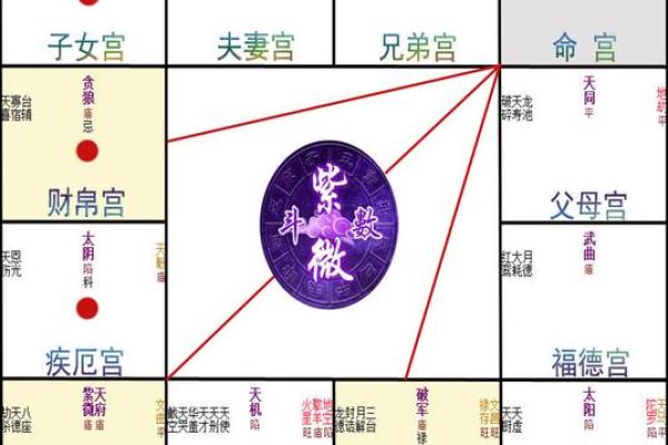 在线紫薇排盘，免费获取个性化命运解析