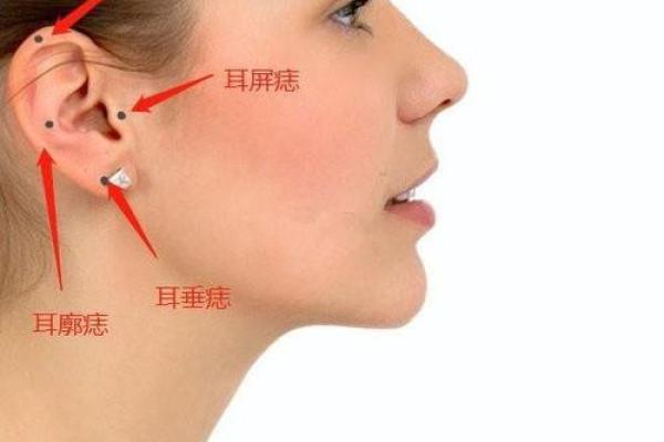 尖耳朵面相的神秘含义：你的耳朵透露了什么信息？