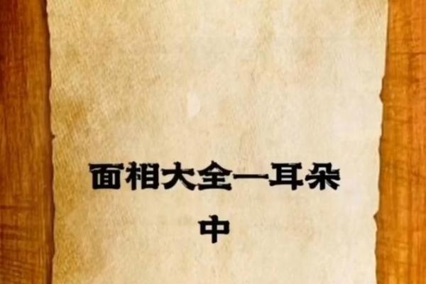 尖耳朵面相的神秘含义：你的耳朵透露了什么信息？
