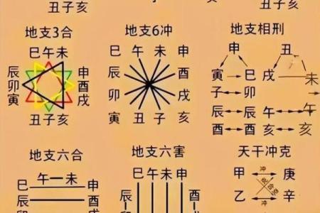 在线紫薇排盘，免费获取个性化命运解析