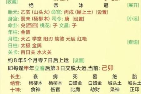 八字喜木的命理解析与调理方法