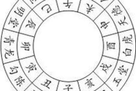 掌握飞宫小奇门排盘软件，提升个人运势预测能力