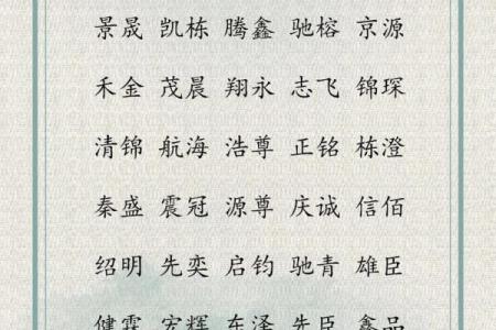 最新公司起名趋势：如何为你的品牌选一个独特且有吸引力的名字