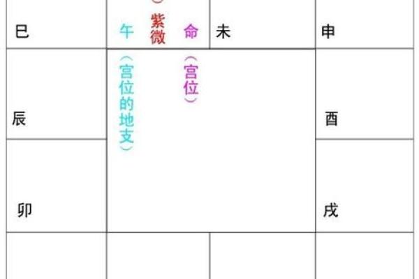 元亨紫微斗数在线排盘：精准解析命运的神奇工具