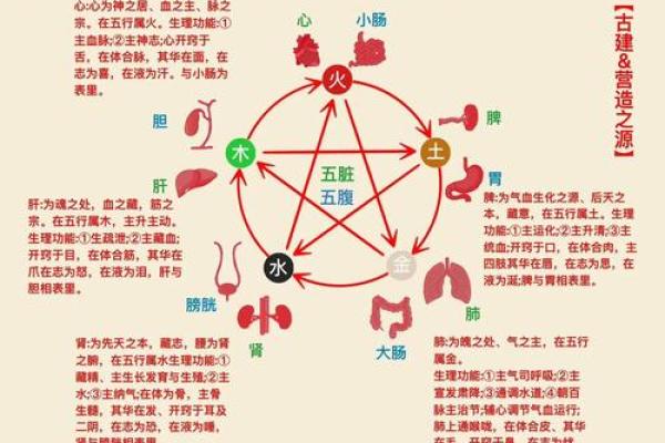 五行缺什么如何计算与调理方法解析
