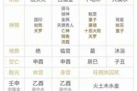 元亨紫微斗数在线排盘：精准解析命运的神奇工具