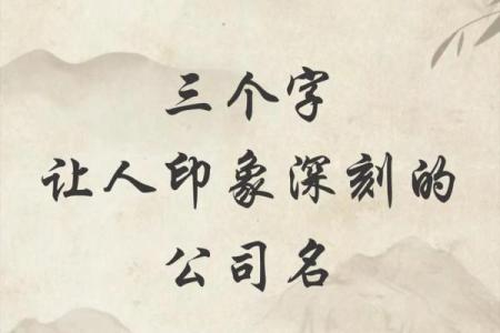 公司三字名称创意合集