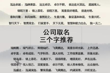 如何为畜牧公司起一个既有创意又符合市场需求的名字