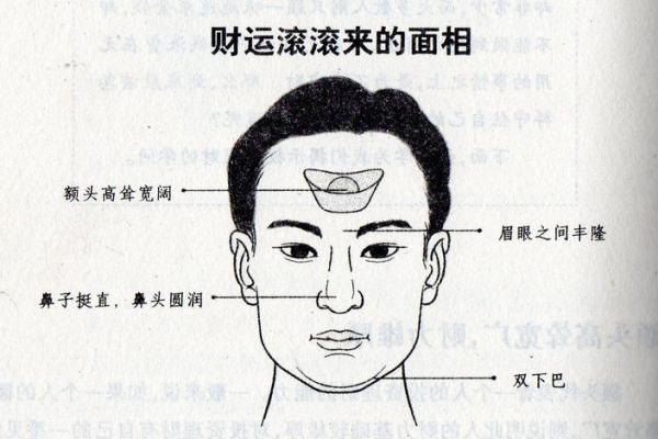 财库面相解析：如何通过面相看你是否富贵有道