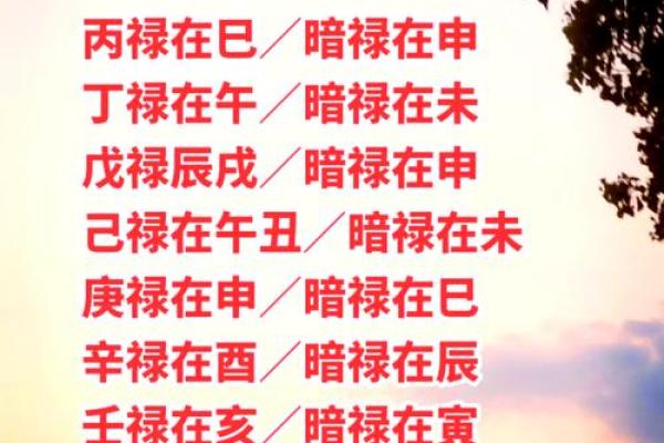 解密养命之源：哪些因素决定了我们的生命力