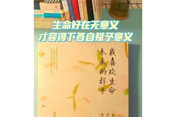 探索命好的意思及其在生活中的体现