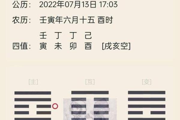 梅花排盘系统解析与应用指南