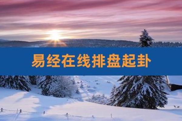 梅花排盘系统解析与应用指南