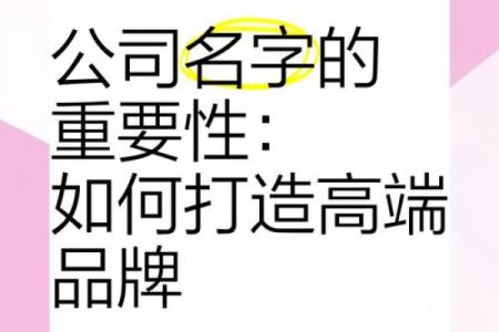 打造独特品牌的三字公司名字