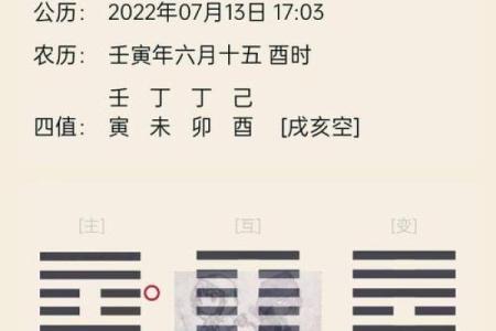 梅花排盘系统解析与应用指南