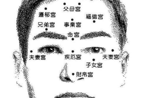 夫妻宫面相分析：如何从面部特征看婚姻运势