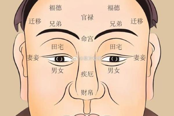 耳朵与面相的关系：解锁你未来的隐藏信息