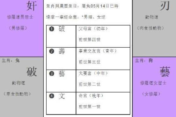 一掌经排盘：如何通过手相解读命运走向