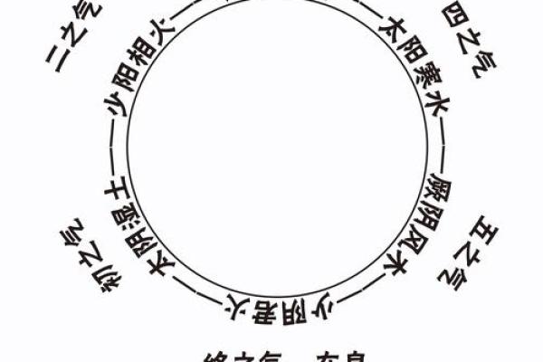 如何通过梅花排盘系统解读个人命运