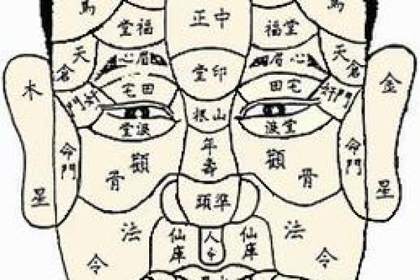 男性颧骨高的面相分析及其影响