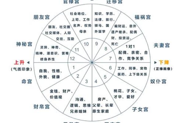紫微排盘解析：如何通过星盘解读个人命运轨迹